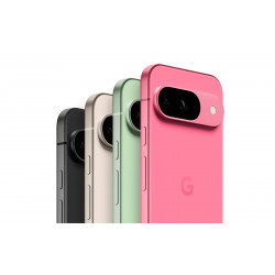 Coque Google Pixel 9 personnalisée avec une photo